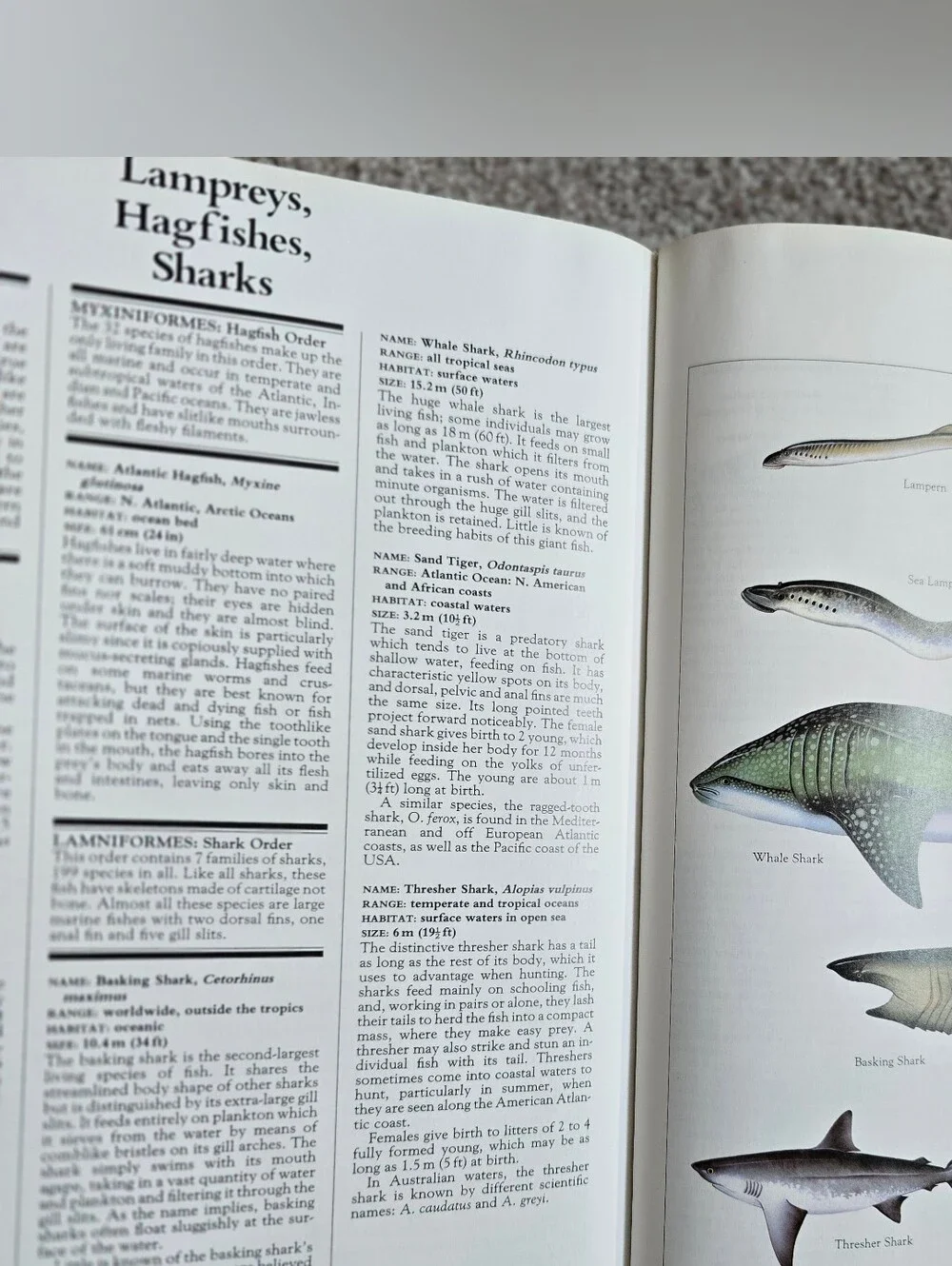 N/A macmillan illustrated